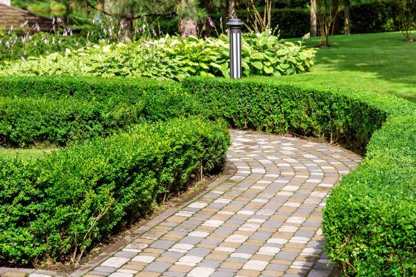Cost of Paved Landscaping in Thousand Oaks
