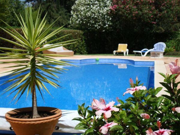 Cost of Pool Terrace Renovation in Thousand Oaks